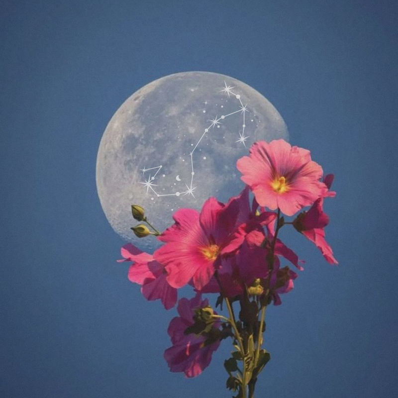 Full Moon in Scorpio: May 1st, 2026
