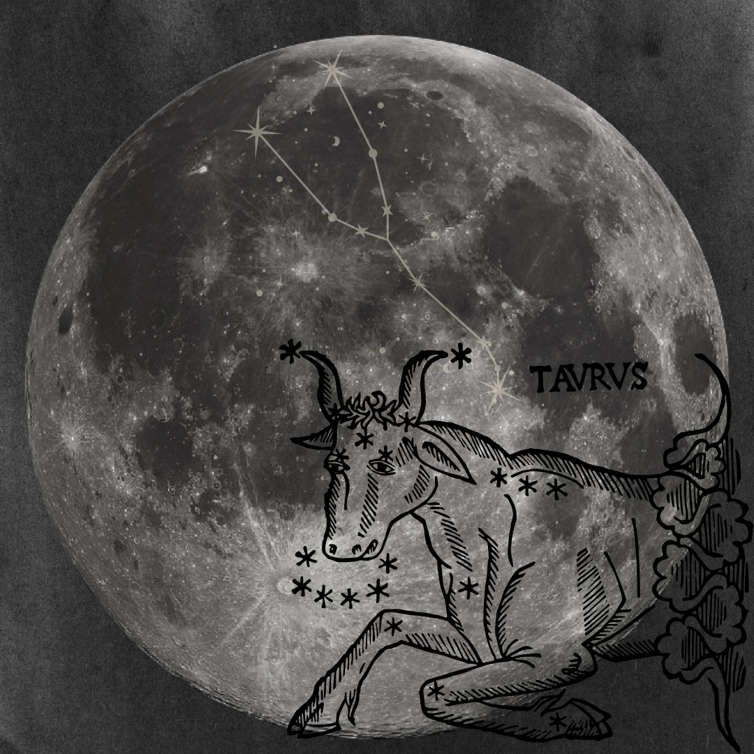 Your Guide to the Full Moon in Taurus: November 5th, 2025