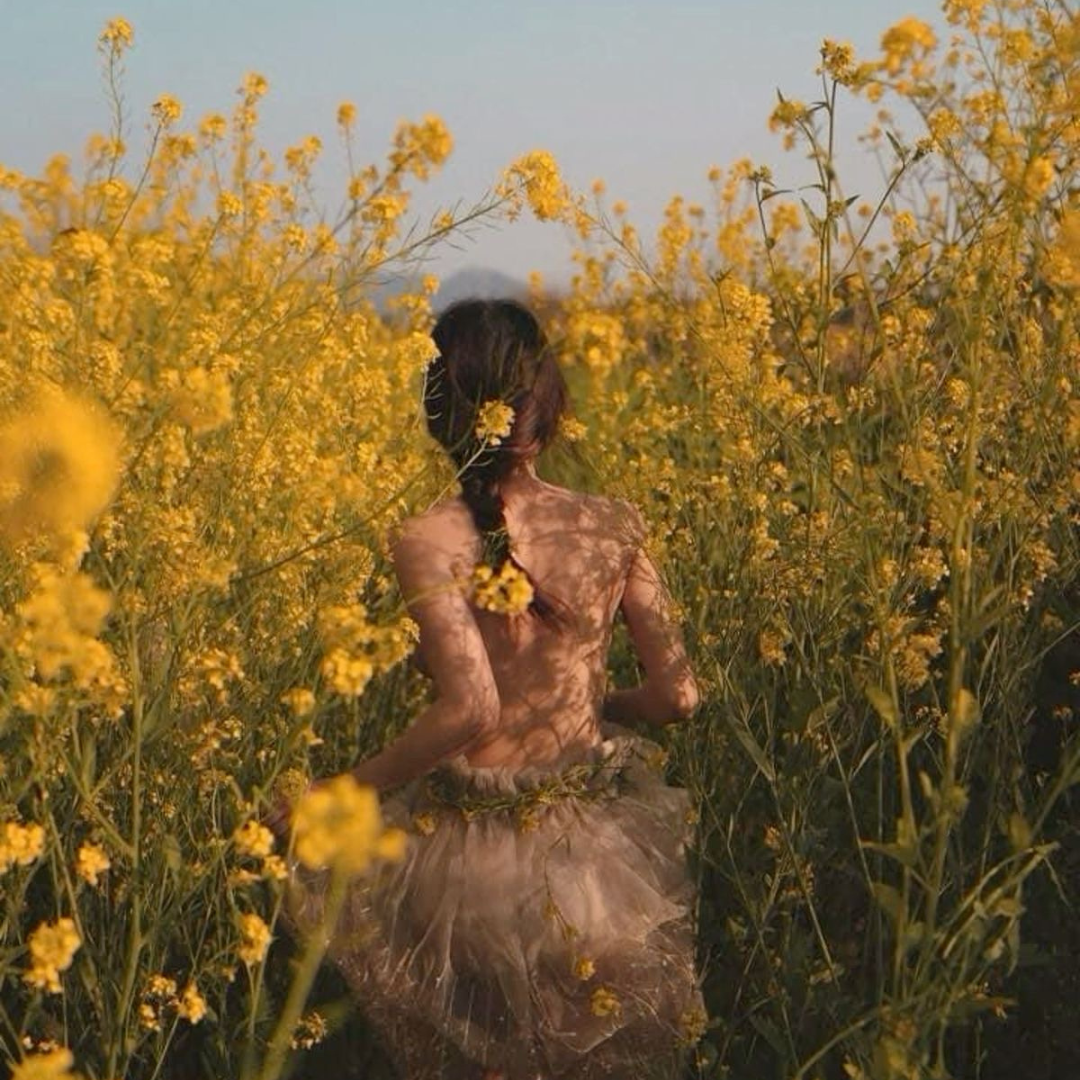 The Magic of Midsummer: Litha Rituals, Sun Magic & Solstice Wisdom