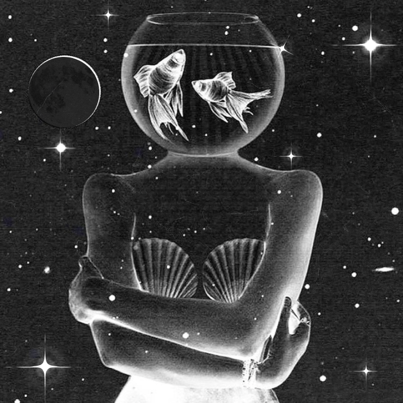 New Moon in Pisces: March 10th, 2024