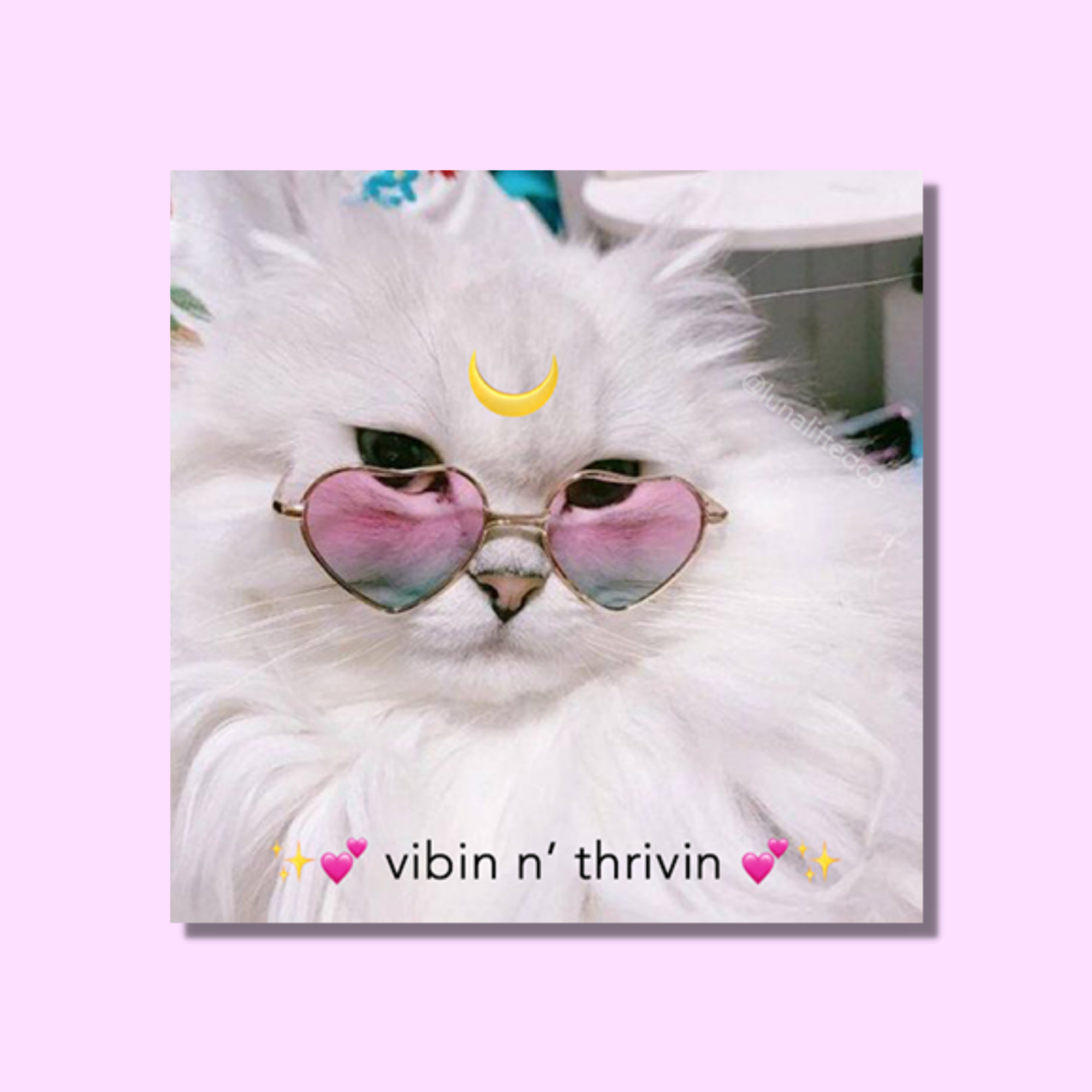 Vibin n' Thrivin Sticker