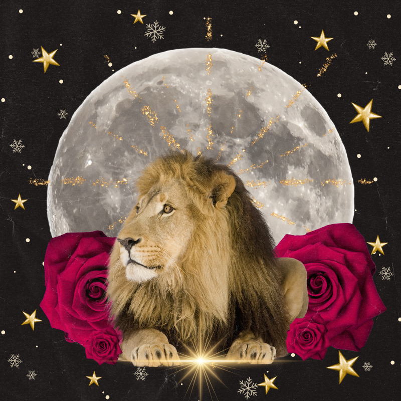 Full Moon in Leo: February 12th, 2025