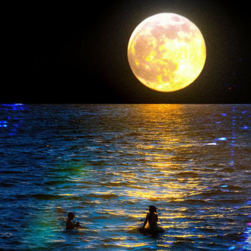 Full Moon in Aquarius: August 19th, 2024